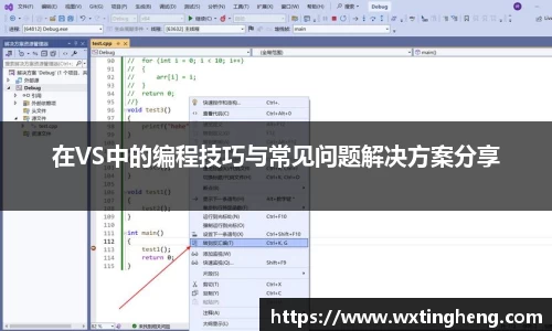 在VS中的编程技巧与常见问题解决方案分享